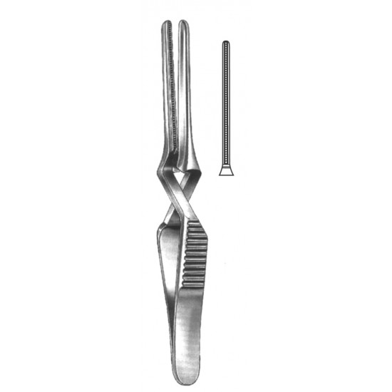 4U  19-5529-08