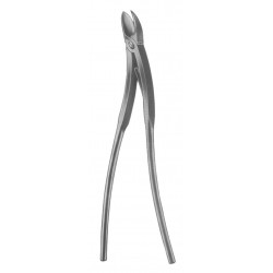 4U  19-5625-34