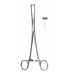 4U  19-5850-20