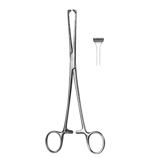 4U  19-5850-20