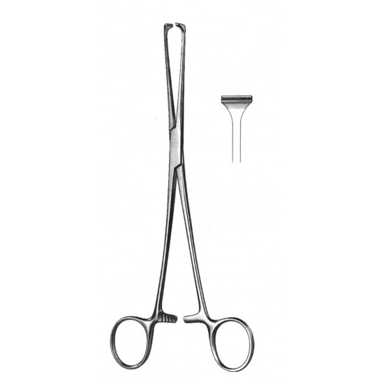 4U  19-5850-30