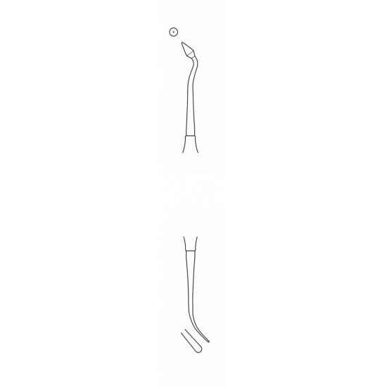 4U -60-2019