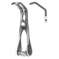 4U  19-5536-07